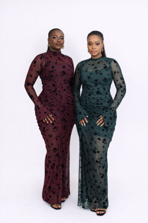 ARORA MESH DRESS